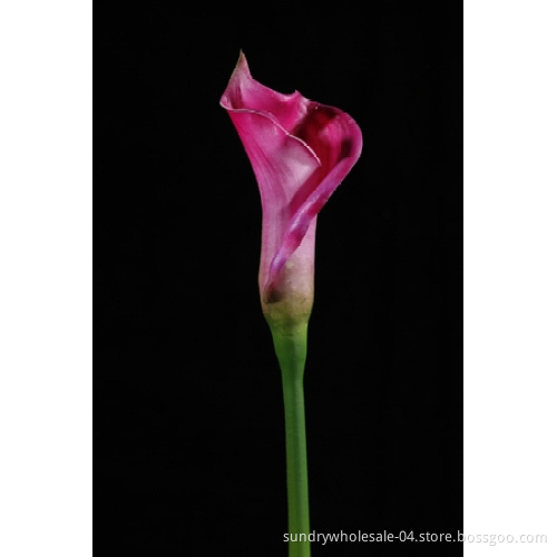 Floramatique Calla Flower